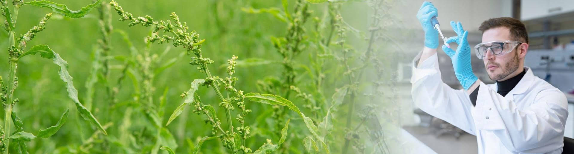 Aducem medicina modernă mai aproape de natură, pentru sănătatea oamenilor.